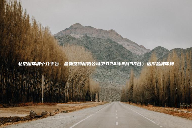 北京租车牌中介平台，最新京牌租赁公司(2024年6月30日）选择金牌车务