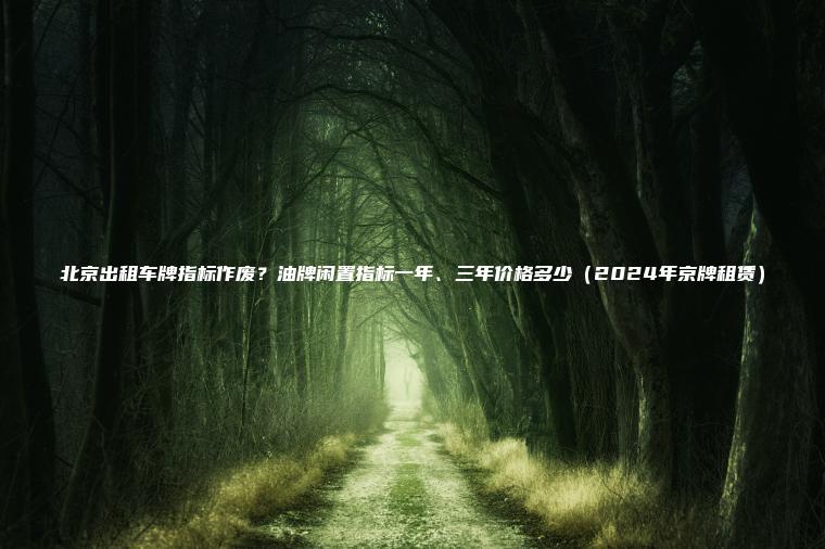 北京出租车牌指标作废？油牌闲置指标一年、三年价格多少（2024年京牌租赁）