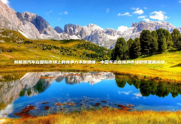 新能源汽车在国际市场上的竞争力不断增强，中国车企在海外市场取得显著成绩。