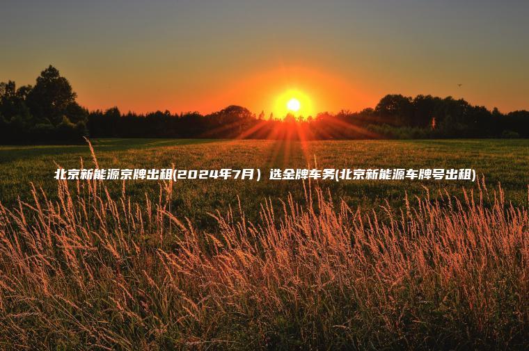 北京新能源京牌出租(2024年7月）选金牌车务(北京新能源车牌号出租)