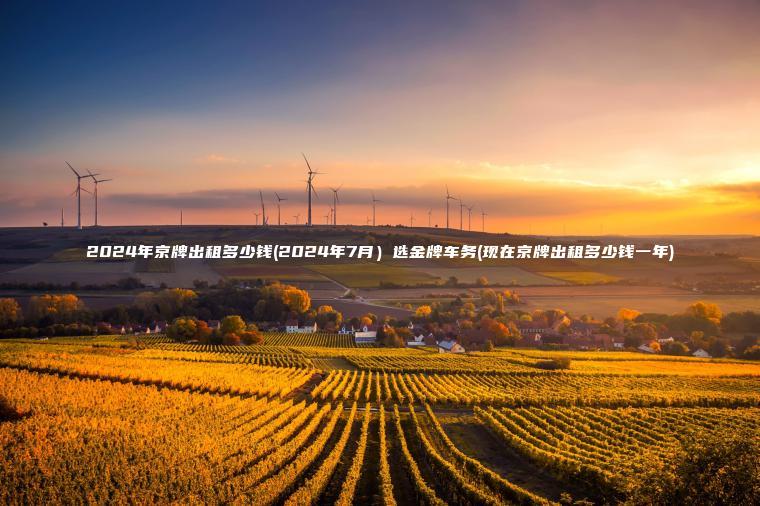 2024年京牌出租多少钱(2024年7月）选金牌车务(现在京牌出租多少钱一年)