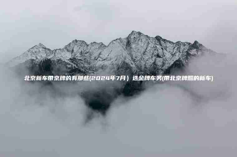 北京新车带京牌的有那些(2024年7月）选金牌车务(带北京牌照的新车)