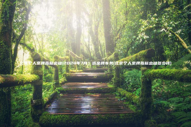 北京个人京牌指标出租(2024年7月）选金牌车务(北京个人京牌指标出租多少钱)
