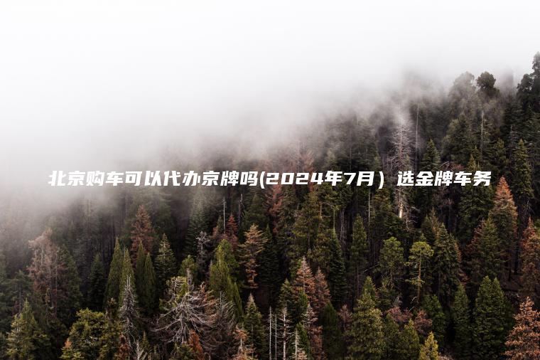 北京购车可以代办京牌吗(2024年7月）选金牌车务