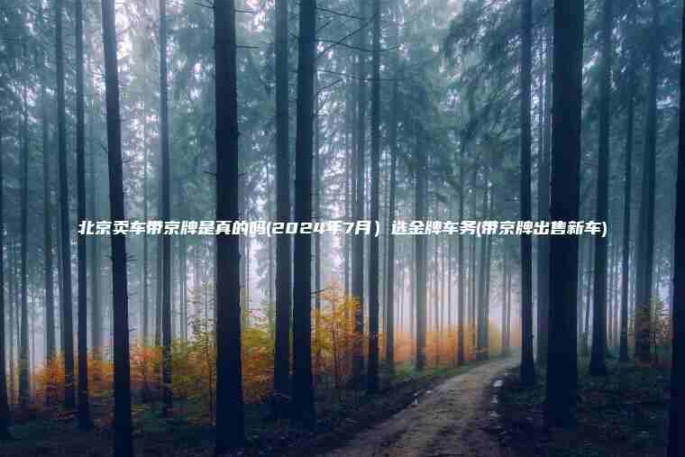 北京卖车带京牌是真的吗(2024年7月）选金牌车务(带京牌出售新车)