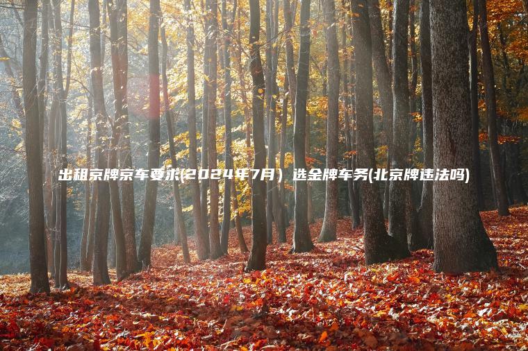 出租京牌京车要求(2024年7月）选金牌车务(北京牌违法吗)