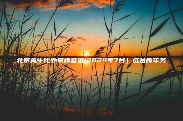 北京黄牛代办京牌直落(2024年7月）选金牌车务