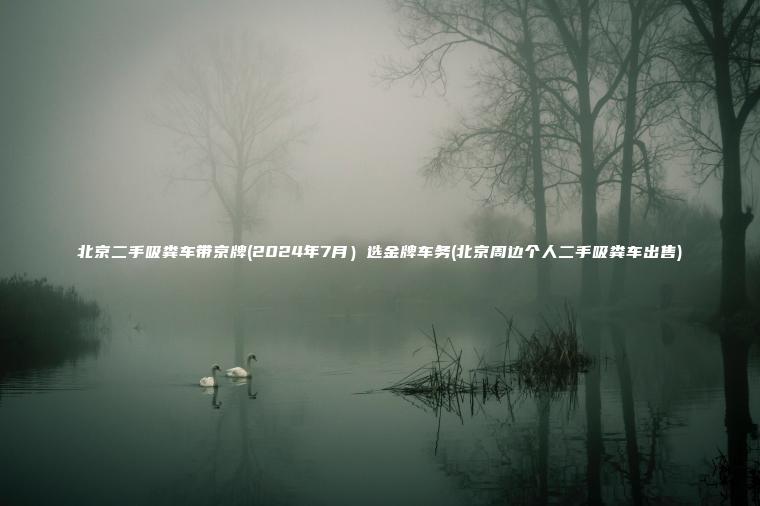 北京二手吸粪车带京牌(2024年7月）选金牌车务(北京周边个人二手吸粪车出售)