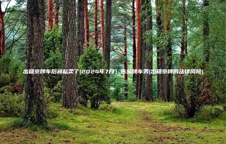 出租京牌车后被私卖了(2024年7月）选金牌车务(出租京牌的法律风险)