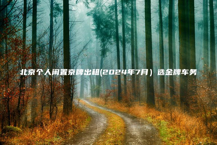 北京个人闲置京牌出租(2024年7月）选金牌车务