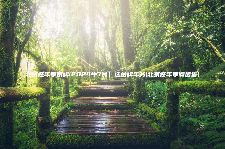北京连车带京牌(2024年7月）选金牌车务(北京连车带牌出售)