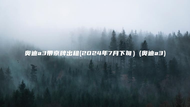 奥迪a3带京牌出租(2024年7月下旬）(奥迪a3)