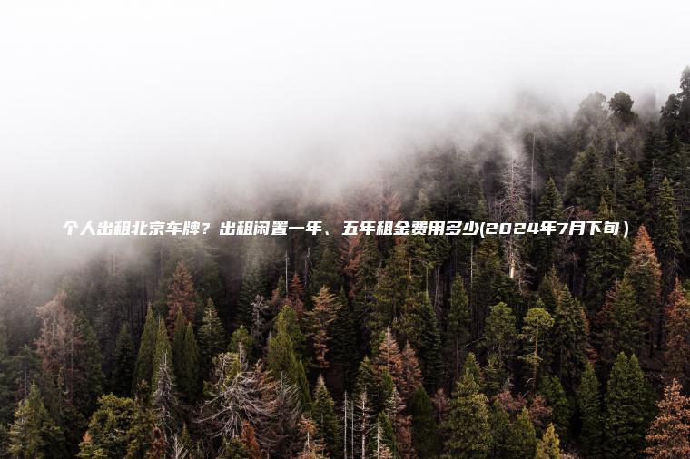 个人出租北京车牌？出租闲置一年、五年租金费用多少(2024年7月下旬）