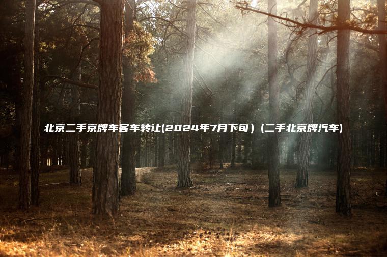 北京二手京牌车客车转让(2024年7月下旬）(二手北京牌汽车)