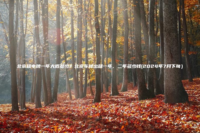 北京租电牌一年大概多少？北京车牌出租一年、二年多少钱(2024年7月下旬）
