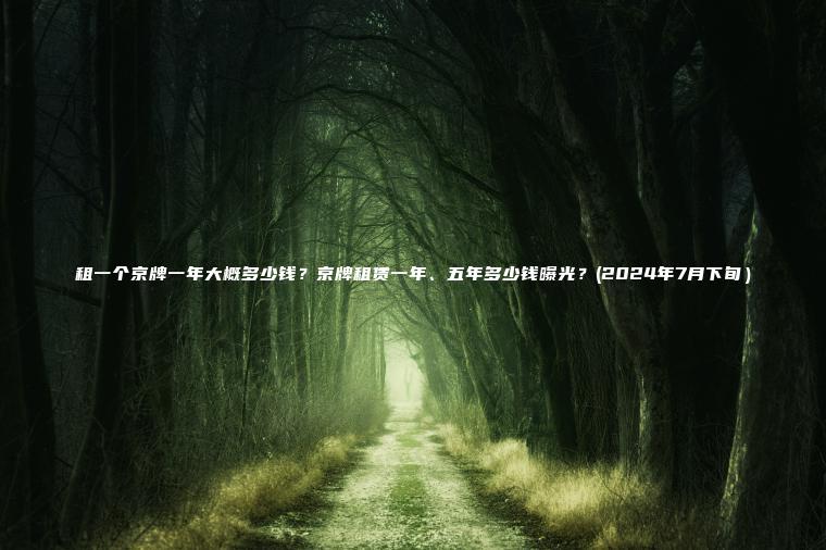 租一个京牌一年大概多少钱？京牌租赁一年、五年多少钱曝光？(2024年7月下旬）