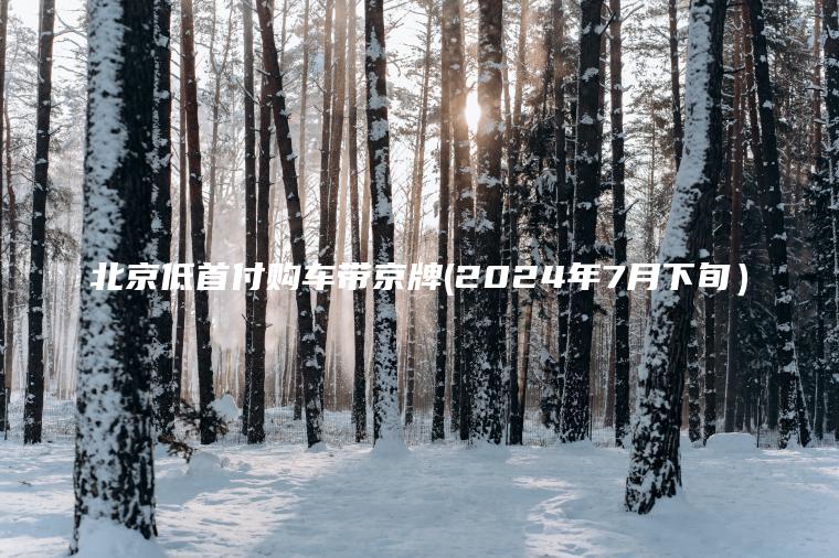 北京低首付购车带京牌(2024年7月下旬）