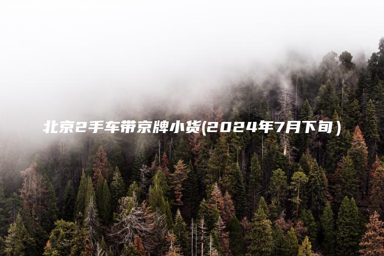 北京2手车带京牌小货(2024年7月下旬）