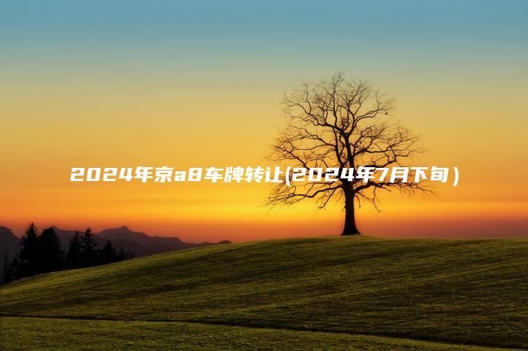 2024年京a8车牌转让(2024年7月下旬）