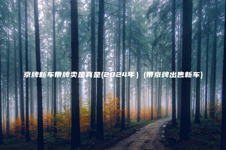 京牌新车带牌卖是真是(2024年）(带京牌出售新车)
