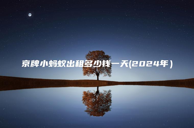 京牌小蚂蚁出租多少钱一天(2024年）