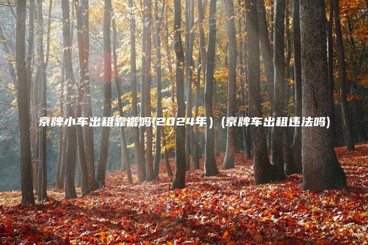 京牌小车出租靠谱吗(2024年）(京牌车出租违法吗)