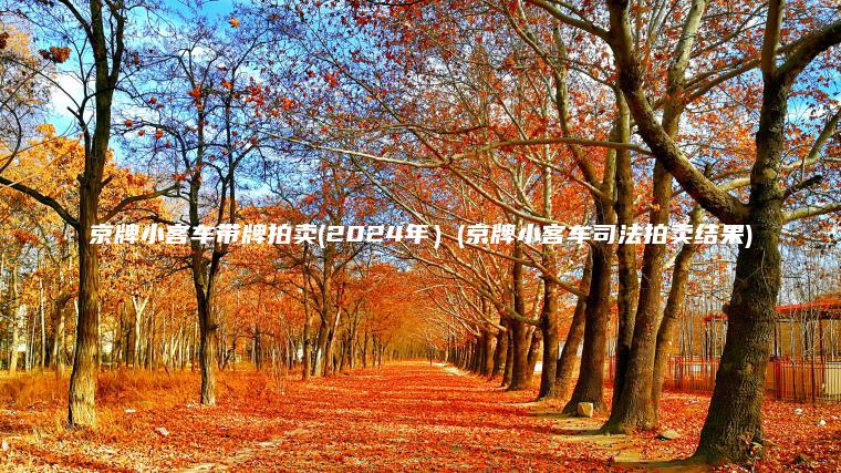 京牌小客车带牌拍卖(2024年）(京牌小客车司法拍卖结果)