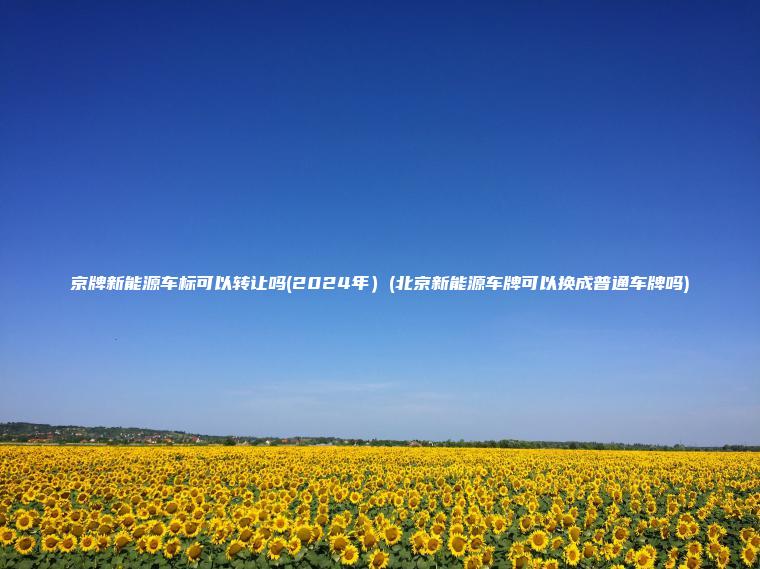 京牌新能源车标可以转让吗(2024年）(北京新能源车牌可以换成普通车牌吗)