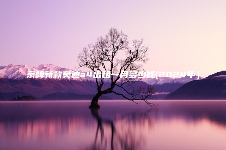 京牌新款奥迪a4出租一月多少钱(2024年）