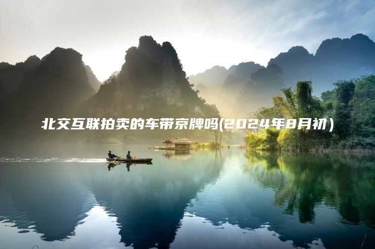 北交互联拍卖的车带京牌吗(2024年8月初）