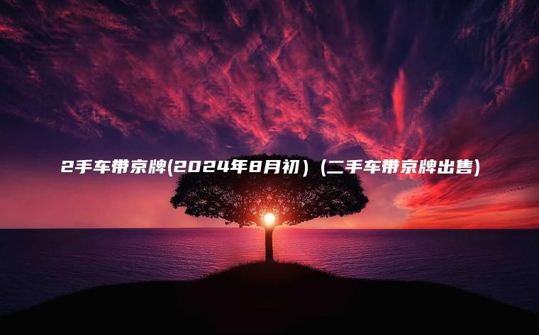 2手车带京牌(2024年8月初）(二手车带京牌出售)