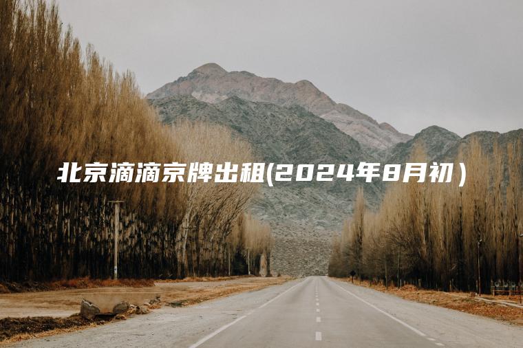 北京滴滴京牌出租(2024年8月初）