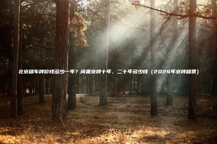北京租车牌价钱多少一年？闲置京牌十年、二十年多少钱（2024年京牌租赁）