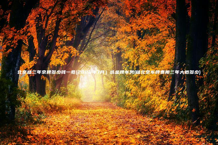 北京租三年京牌多少钱一览(2024年7月）选金牌车务(租北京车牌费用三年大概多少)
