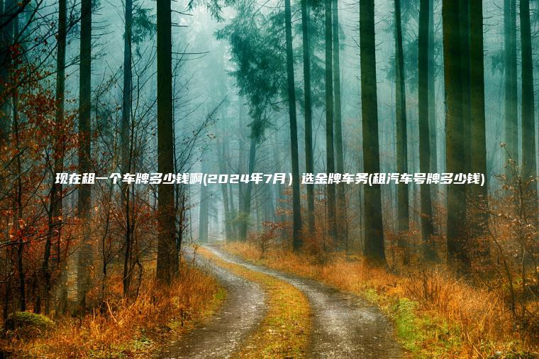 现在租一个车牌多少钱啊(2024年7月）选金牌车务(租汽车号牌多少钱)