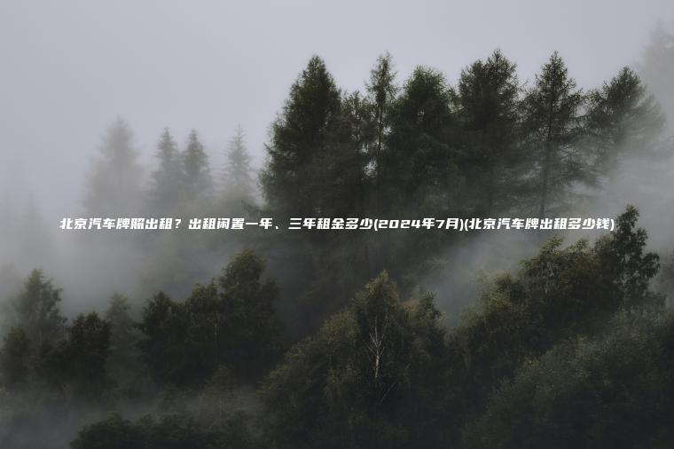 北京汽车牌照出租？出租闲置一年、三年租金多少(2024年7月)(北京汽车牌出租多少钱)