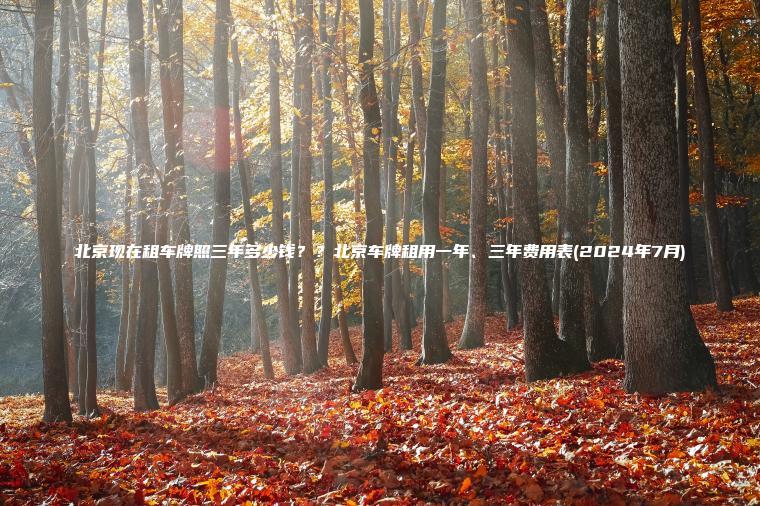 北京现在租车牌照三年多少钱？？北京车牌租用一年、三年费用表(2024年7月)