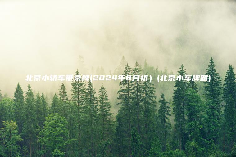 北京小轿车带京牌(2024年8月初）(北京小车牌照)