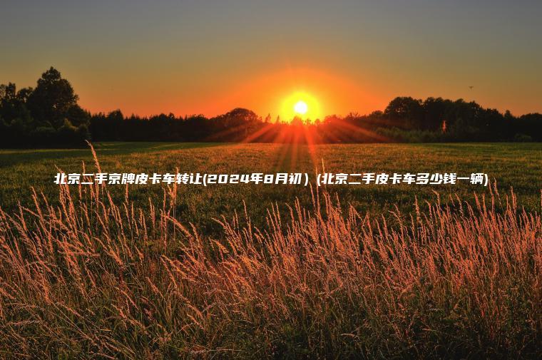 北京二手京牌皮卡车转让(2024年8月初）(北京二手皮卡车多少钱一辆)