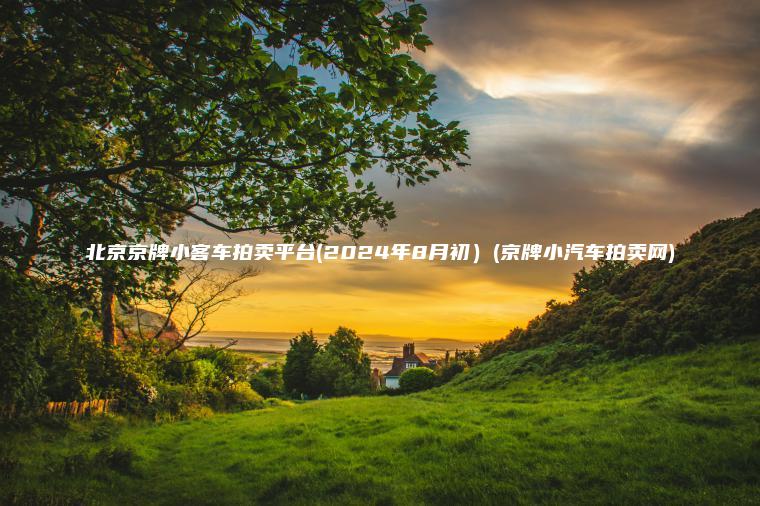 北京京牌小客车拍卖平台(2024年8月初）(京牌小汽车拍卖网)