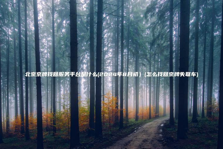 北京京牌找回服务平台是什么(2024年8月初）(怎么找回京牌失联车)
