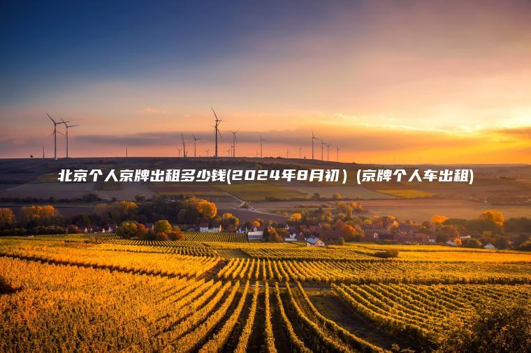 北京个人京牌出租多少钱(2024年8月初）(京牌个人车出租)