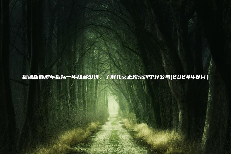 揭秘新能源车指标一年租多少钱、了解北京正规京牌中介公司(2024年8月）
