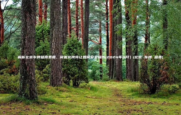 解析北京车牌租用费用、闲置京牌转让如何安全操作(2024年8月）(北京 车牌 租赁)