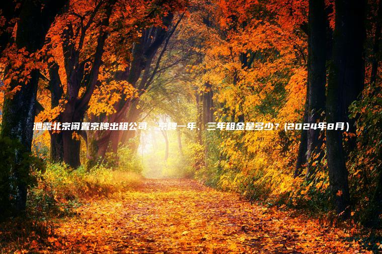 泄露北京闲置京牌出租公司、京牌一年、三年租金是多少？(2024年8月）