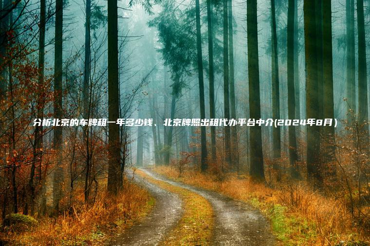 分析北京的车牌租一年多少钱、北京牌照出租代办平台中介(2024年8月）