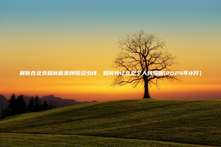 解析在北京租新能源牌照多少钱、如何转让北京个人牌照呢(2024年8月）