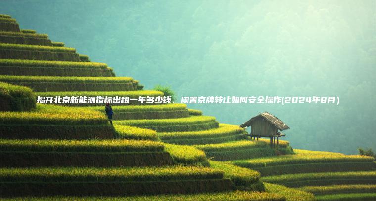 揭开北京新能源指标出租一年多少钱、闲置京牌转让如何安全操作(2024年8月）