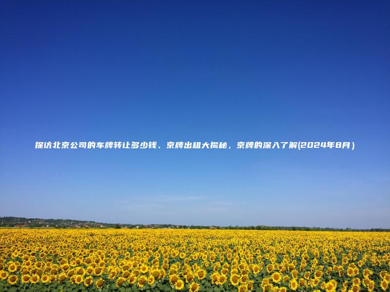 探访北京公司的车牌转让多少钱、京牌出租大揭秘，京牌的深入了解(2024年8月）