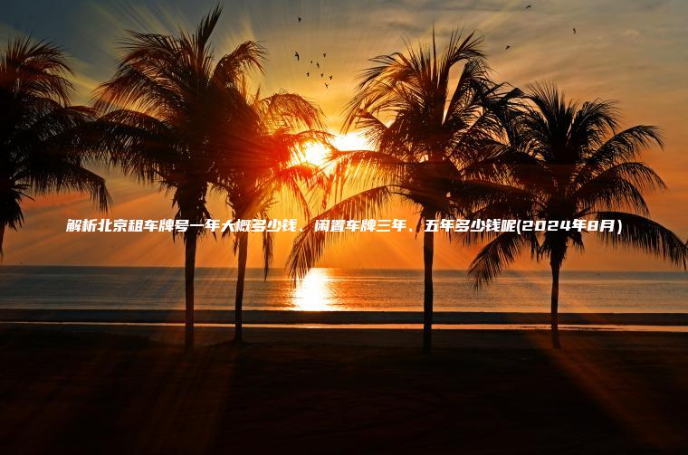 解析北京租车牌号一年大概多少钱、闲置车牌三年、五年多少钱呢(2024年8月）